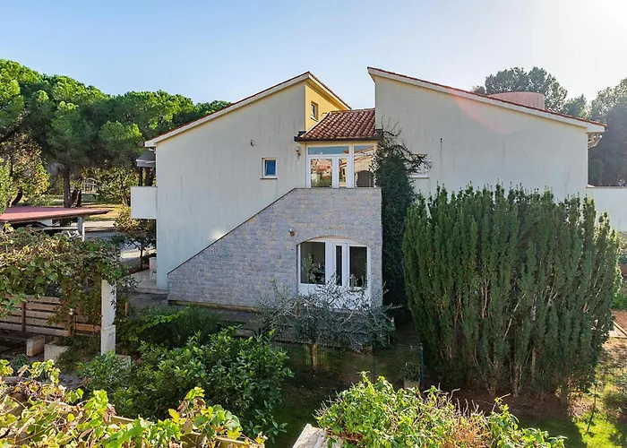 Gorgeous In With Wifi 메덜린